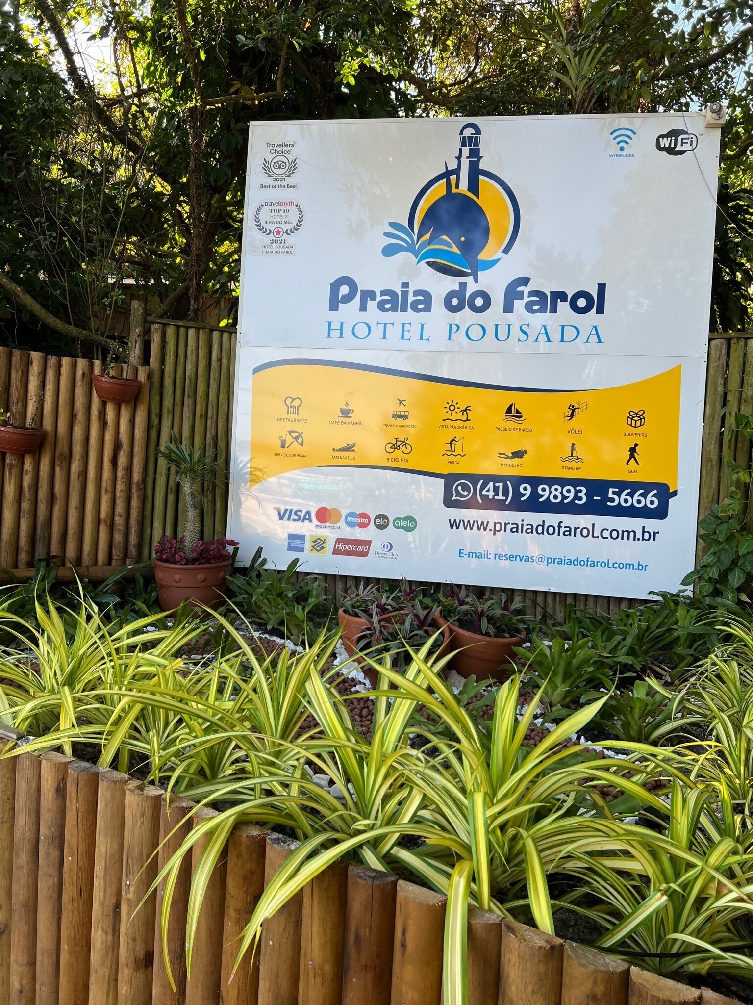 外观