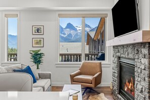 Smart TV, fireplace, books