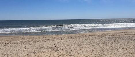 Sun-loungers, beach towels