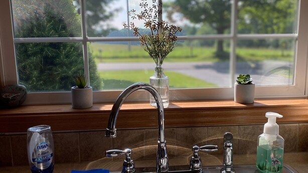 Une cuisine dotée d’un évier en acier inoxydable, d’une fenêtre donnant sur un paysage verdoyant et d’un vase rempli de fleurs posé sur le rebord de la fenêtre.