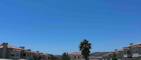 Alberca