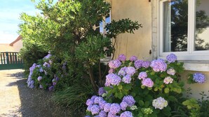 Un giardino con arbusti di ortensie di fronte a un edificio.