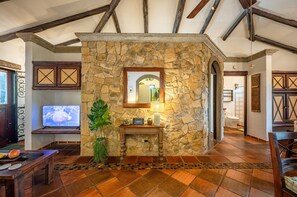 Una chimenea de piedra con un espejo encima, un televisor sobre un mueble bajo y una planta en primer plano.