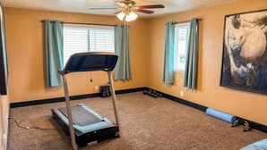 A room with a treadmill, a ceiling fan, and a painting on the wall.