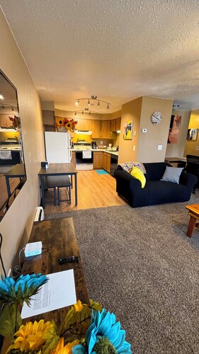 Spacious Open Living Space in This Beautiful Mother-in-Law Basement Apartment