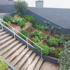 Terrein van de accommodatie