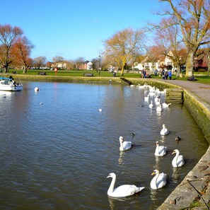 บ้านพัก | 5 ห้องนอน, เปล/เตียงเด็กอ่อน (ฟรี)