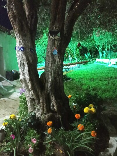 Lotus House