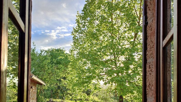 Une fenêtre ouverte donnant sur un jardin luxuriant, un banc en bois et un arbre.