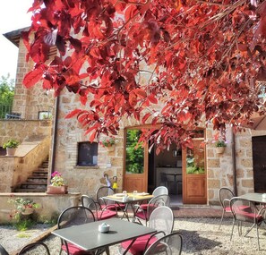 Outdoor dining - Living according to Nature, with comforts, 2 steps from the center & the highway (Umbria)
