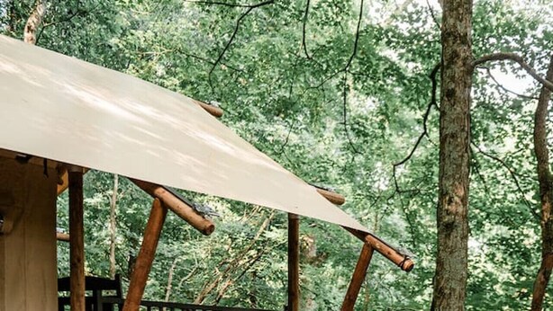 Een houten terras met een trap naar een overdekt gedeelte, omringd door bomen.