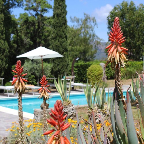 Villa Alexa - Villa Alexa