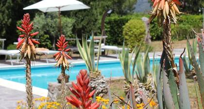 Villa Alexa - Villa Alexa