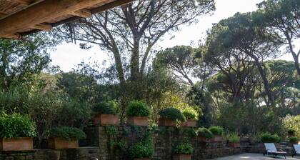 Villa La Pineta - Villa La Pineta