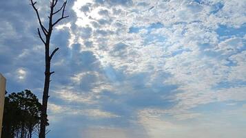 On the beach, sun loungers, beach towels