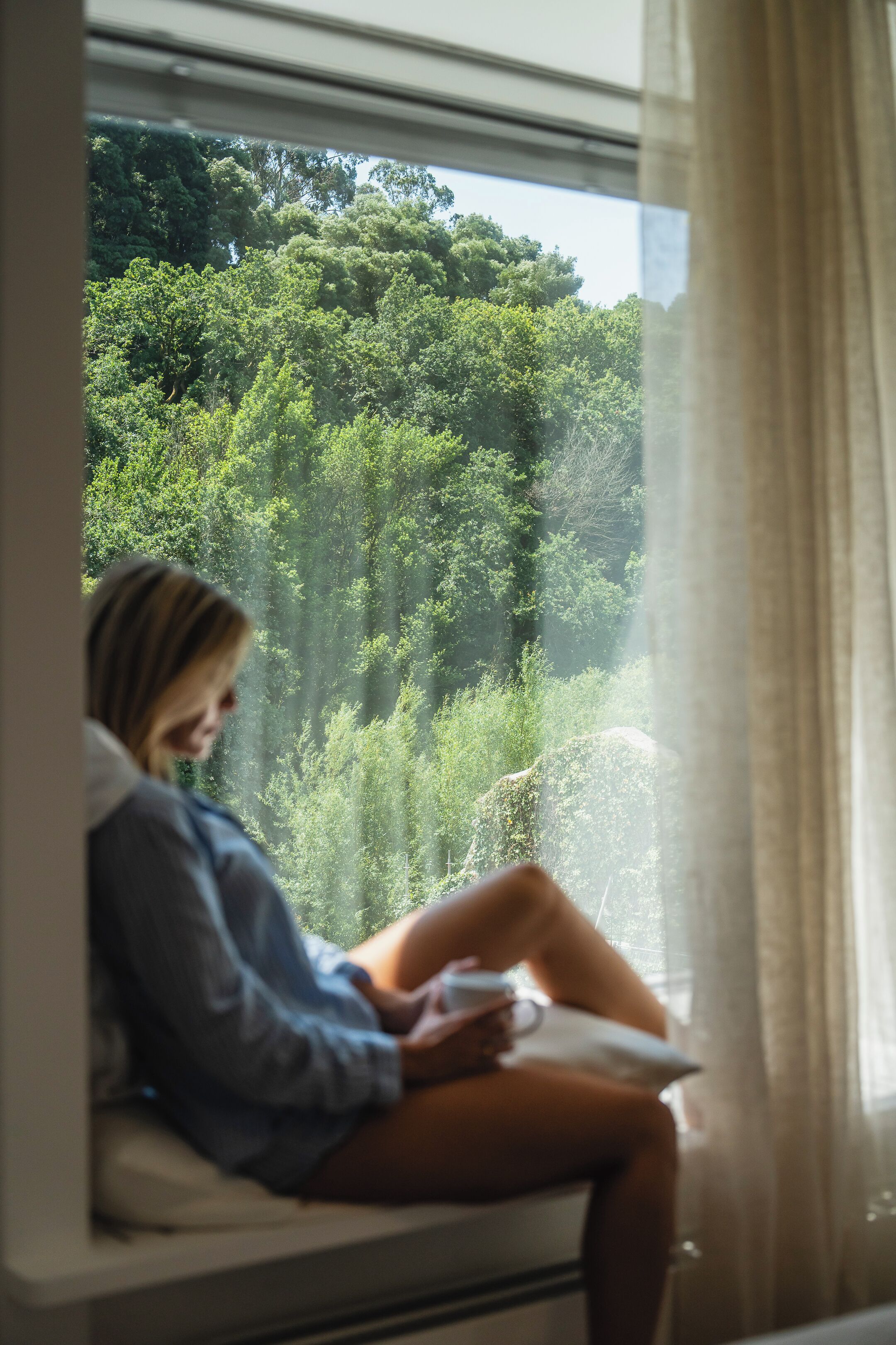 Una persona sentada junto a una ventana con vista a un bosque.