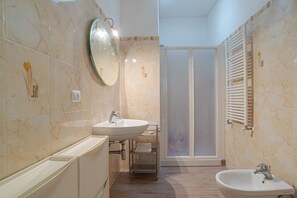 Shower, hair dryer, bidet, towels