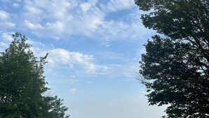En strand med klar himmel og roligt hav.