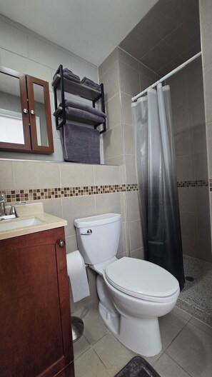 Towels, soap, shampoo, toilet paper - Suns & Roses Duplex (Chicago)