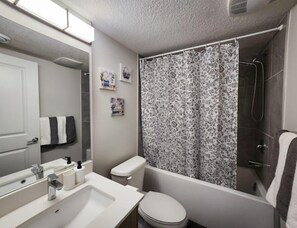 Hair dryer, towels, soap, shampoo