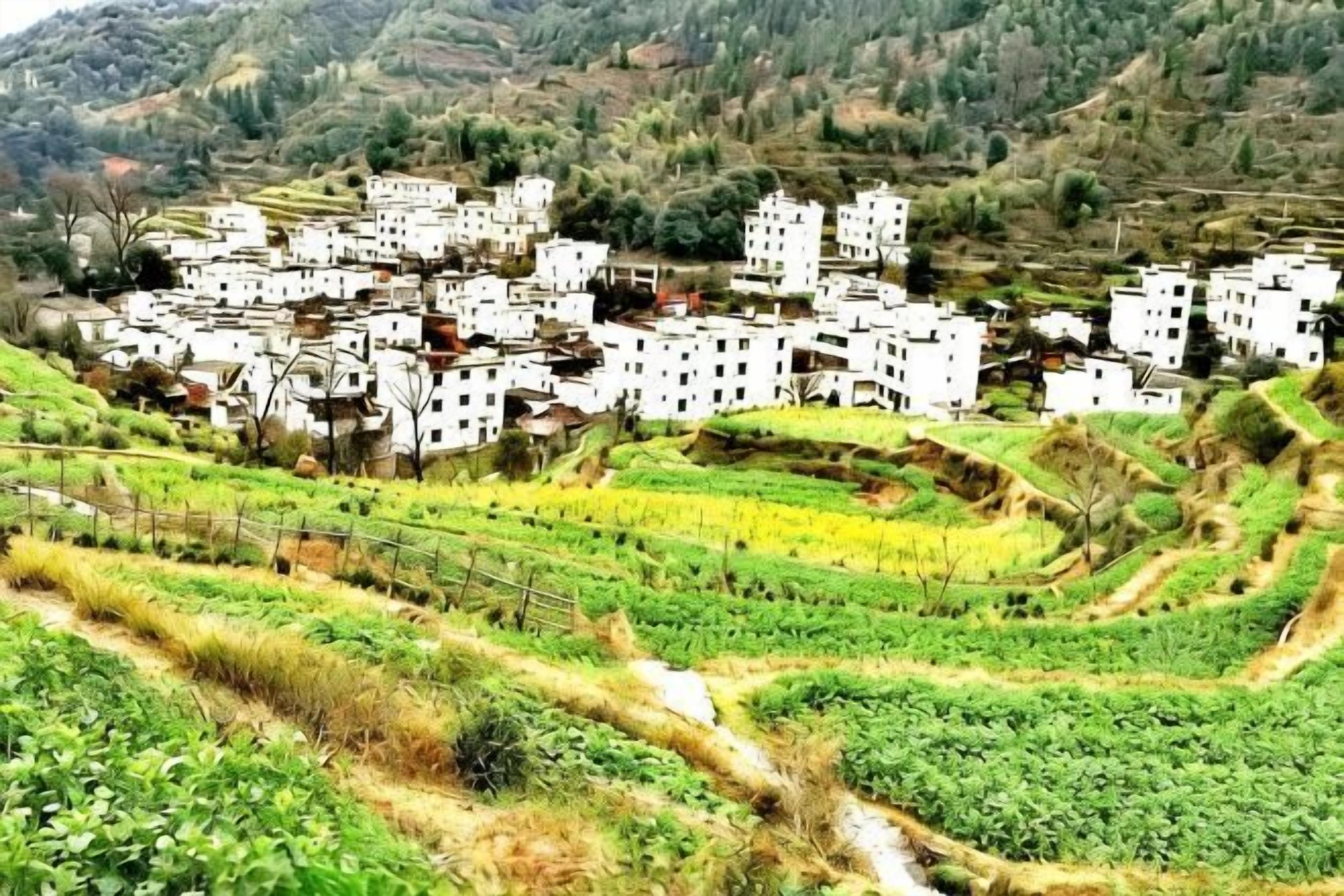 Un village doté de champs en terrasses et de bâtiments blancs.
