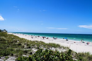 沙滩椅、沙滩毛巾