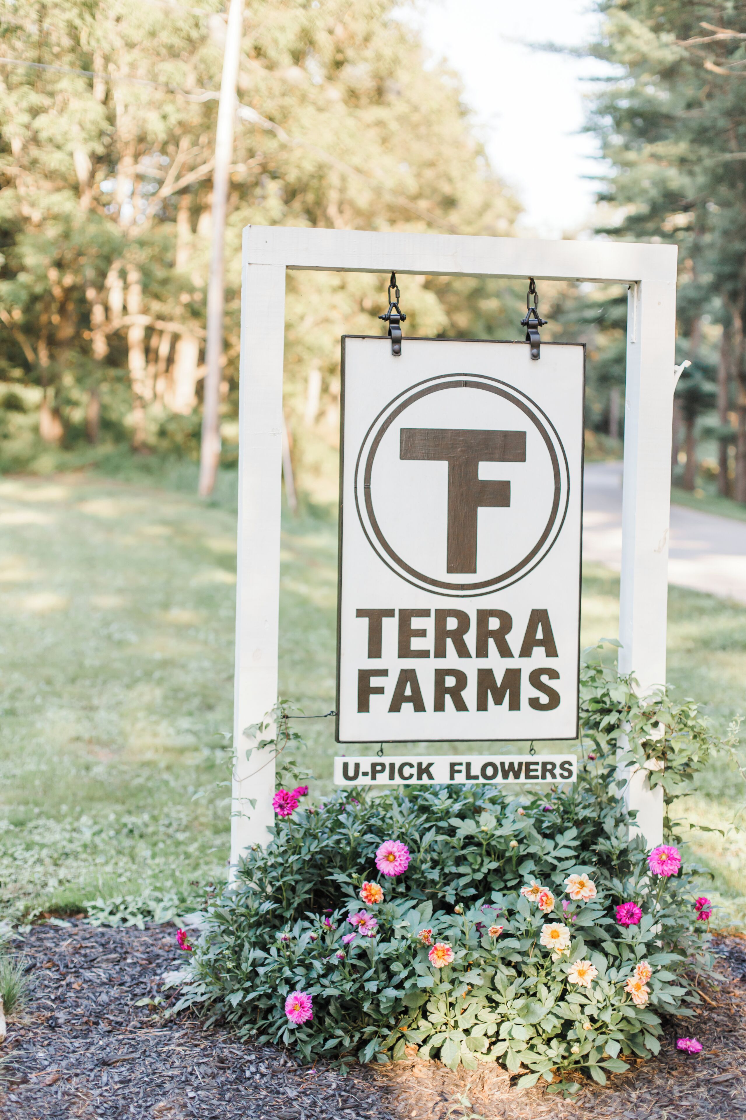 Àrea exterior de l&#x27;allotjament