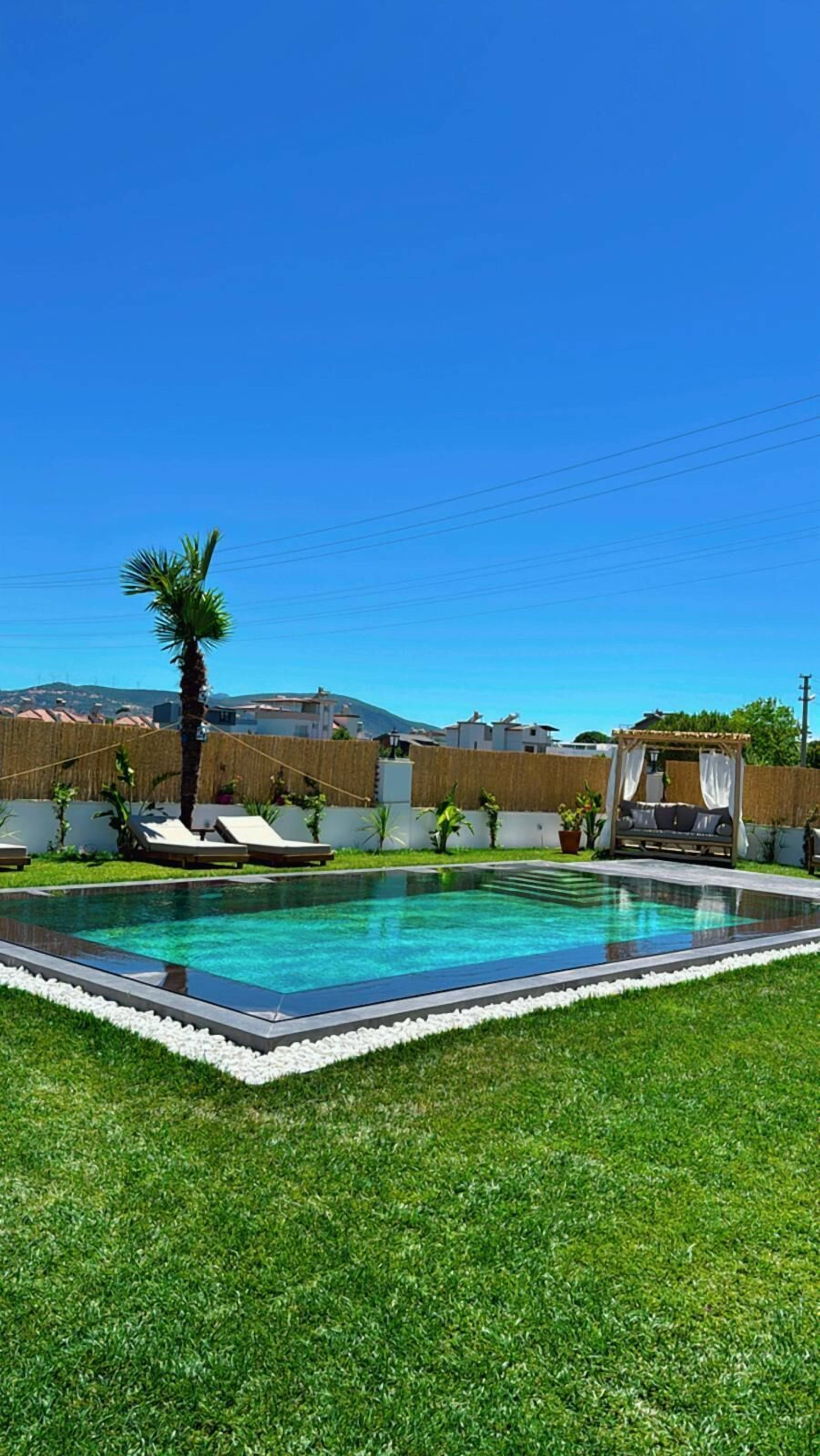 Una piscina rectangular con borde blanco, rodeada de un césped cuidado y una palmera.