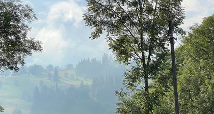 Rancho Zalinski-Tatra Mountains, fireplace,hot tub