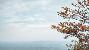A group of people standing on a rocky outcrop overlooking a vast forested landscape. - Luxury Spacious Glamping, Wooded View, Grill, Pool, Pet Friendly, Swim (Delta)