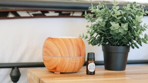 A wooden diffuser, a potted plant, and a bottle of essential oil on a wooden table. - Luxury Spacious Glamping, Wooded View, Grill, Pool, Pet Friendly, Swim (Delta)