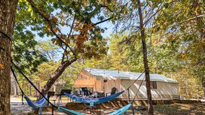 A campsite with a tent, a hammock, and a table under a tree. - Luxury Spacious Glamping, Wooded View, Grill, Pool, Pet Friendly, Swim (Delta)
