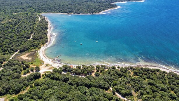 Vista aérea de una zona costera con densa vegetación, una playa arenosa y aguas azules cristalinas.