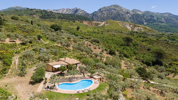 Una villa con piscina rodeada de olivos y montañas al fondo.
