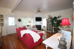 Smart TV, chimenea y libros 