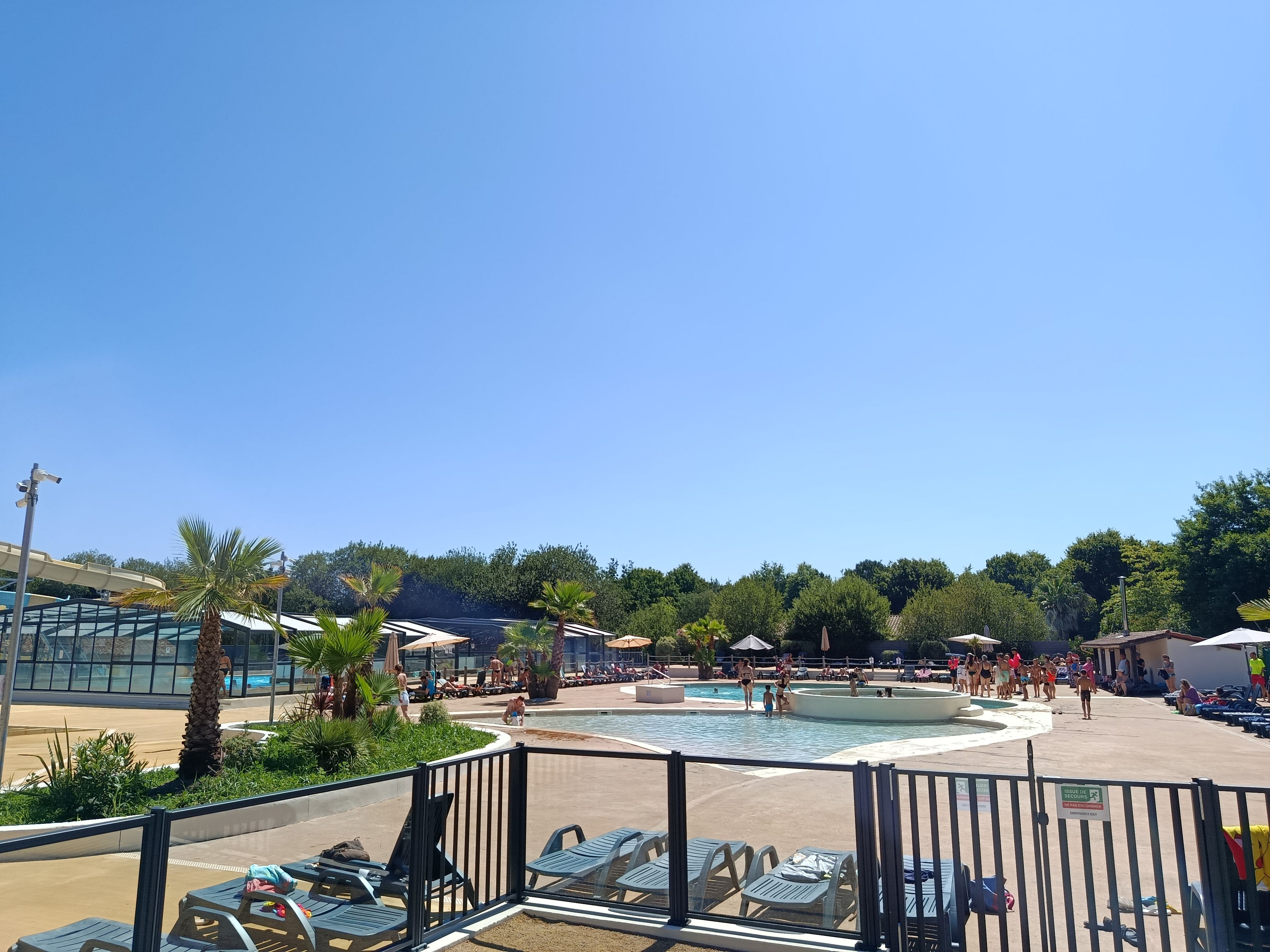 A pool area with lounge chairs, palm trees, and a clear sky.