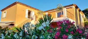 Área da propriedade