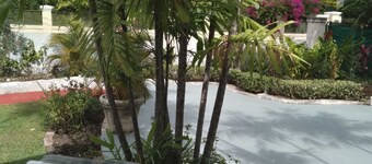 Enjoy Your Stay At Casa Del Caribe: Come Live in Paradise!