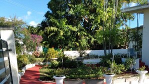 Un acceso pavimentado con un sendero rojo que conduce a un edificio blanco, rodeado de exuberante vegetación y palmeras.