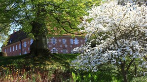 A large tree with white blossoms in front of a building with a patterned facade. - Visit Örestrand (Strandbaden)