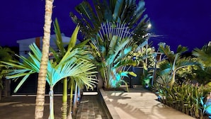 Un chemin extérieur illuminé, bordé de palmiers et de plantes tropicales, qui mène à un bâtiment à la façade bleu foncé.