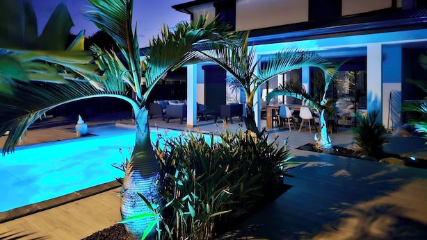 Une maison moderne dotée d’une piscine, entourée de plantes tropicales et illuminée par un éclairage bleu.