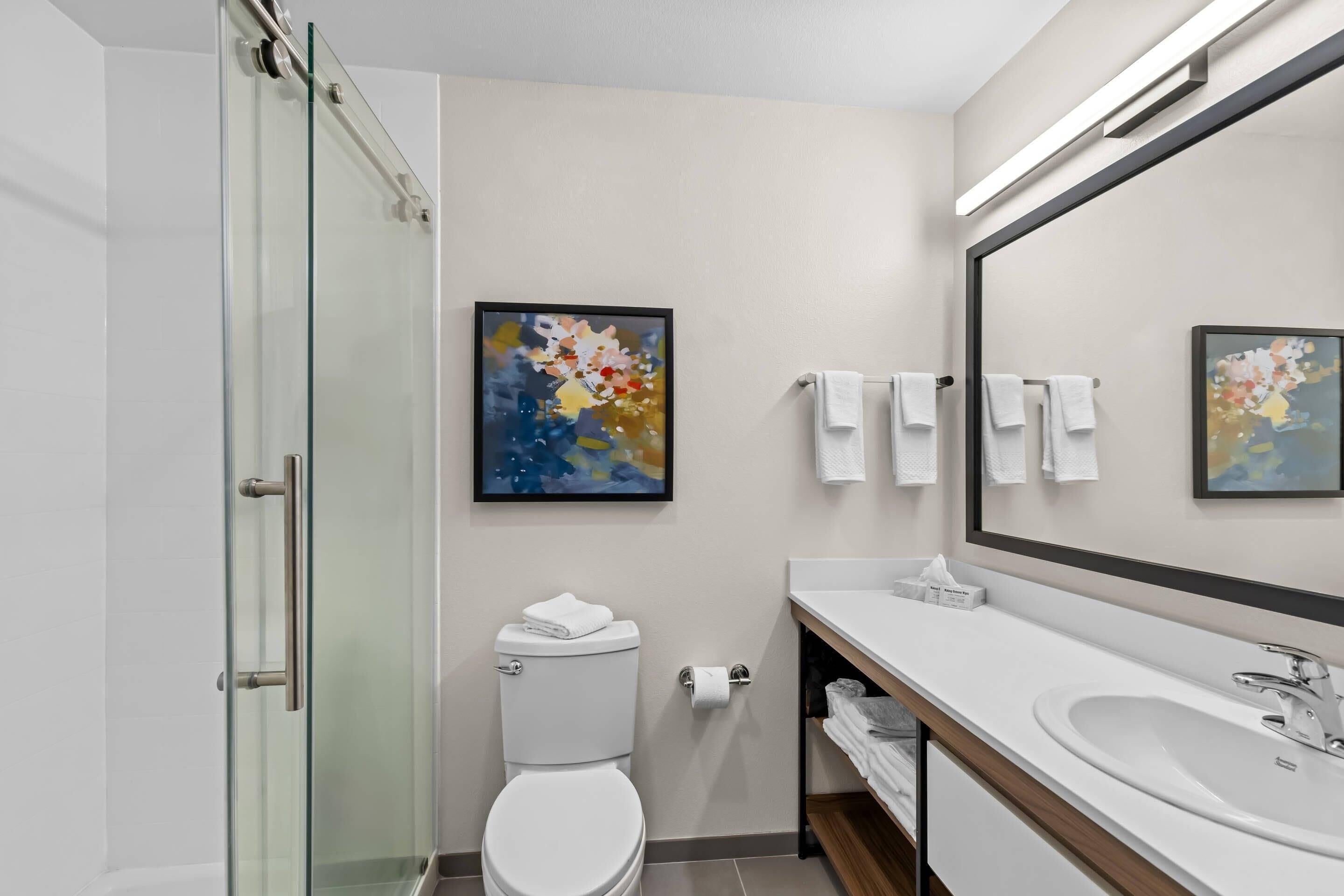 A modern bathroom with a glass shower enclosure, a white toilet, a large mirror, and a white sink with a wooden vanity.