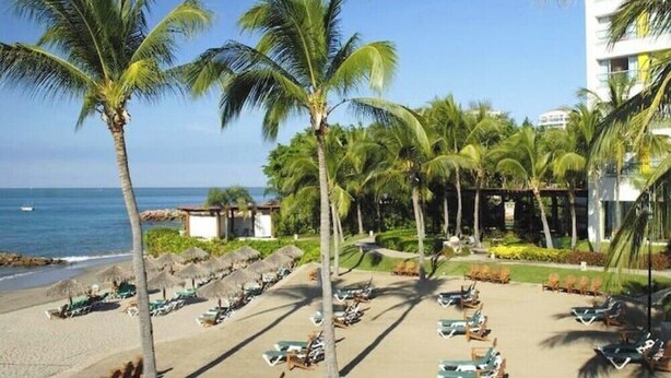 A beachside hotel with rows of sun loungers, palm trees, and a view of the ocean.