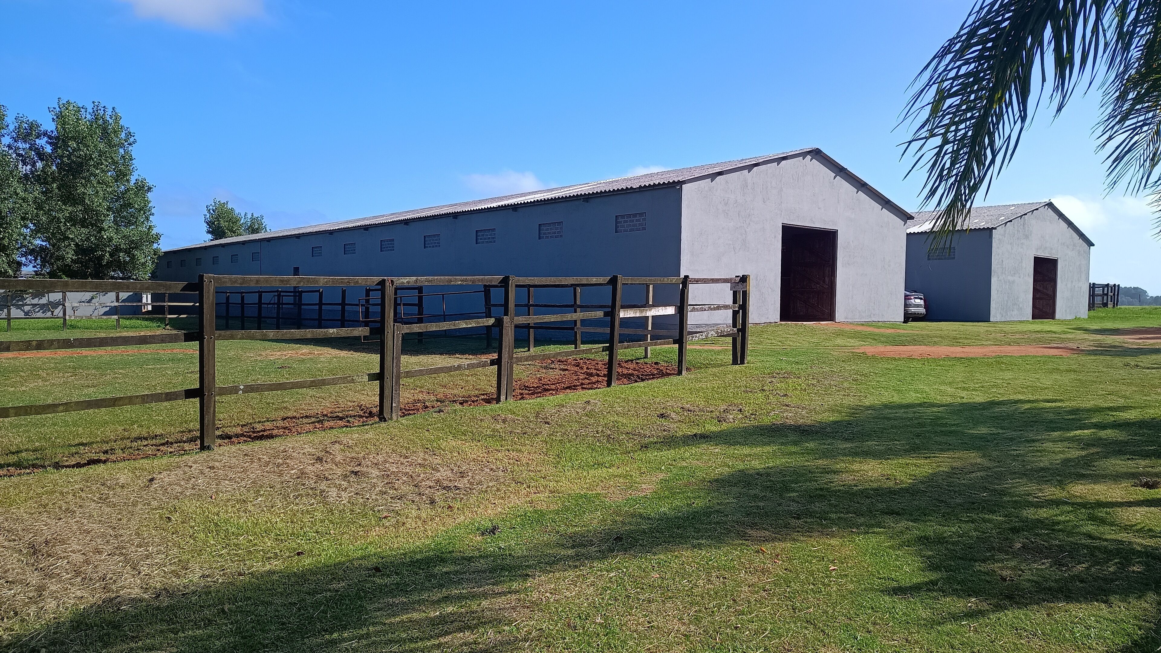 A building with a large open area in front, a fenced section, and a palm tree.