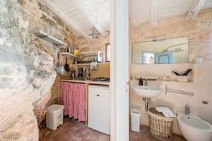 Shower, hair dryer, towels, shampoo