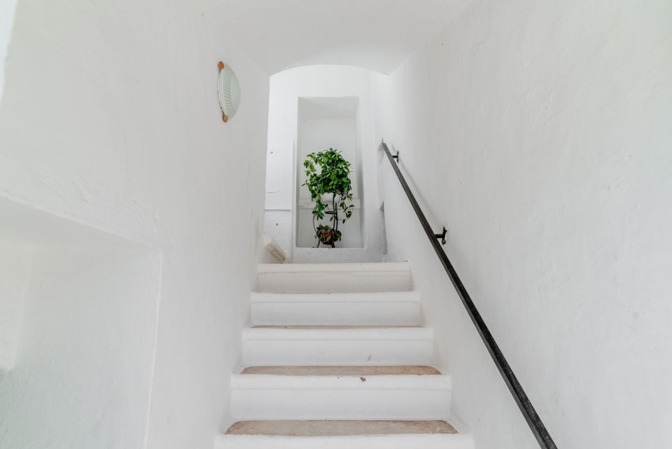 A white staircase with a handrail, leading to a doorway with a plant.