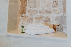 Shower, hair dryer, towels, shampoo