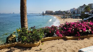 Blick auf einen Strand mit einer Palme, Blumen und einem Sandbereich mit Liegestühlen.