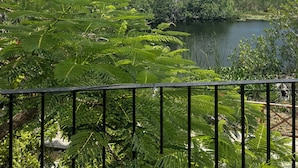 A lush green landscape with a pond, dense foliage, and a clear sky.